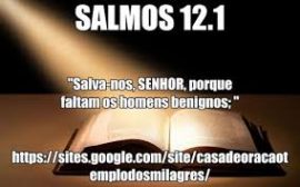 sl-12-faltam-os-bons