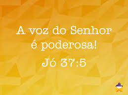 New voz sl 29