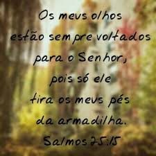 sl-25-2-tiea-m-pes-da-rede