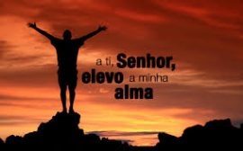 sl-25-a-ti-elevo-m-alma