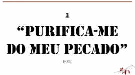 sl-51-1-purifica-me
