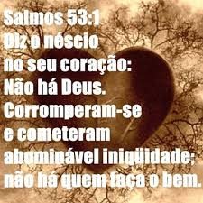 sl-53-diz-o-nescio