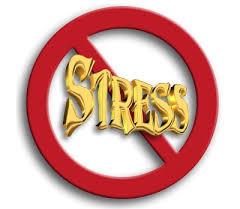 New 05.02 sem STRESS