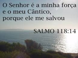 sl 118 me SALVOU