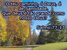 sl-77-2-d-de-santidade