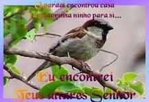 sl-84-ninho-para-si