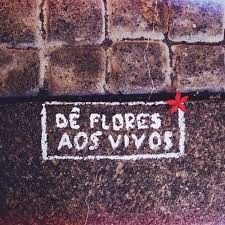 Oc 1102 flores