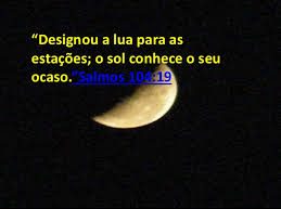 sl 104- 2 OCASO