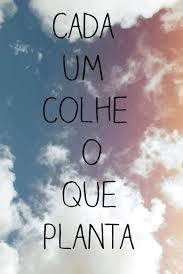 sl 109 Planta COLHE