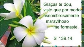 Sl 139> 2 me formaste