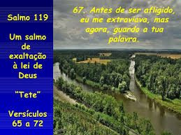 sl 119 9 tete