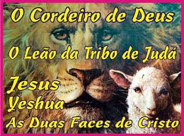 sl-110-2-cordeiroleao