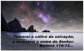 sl-116-tomo-o-calice