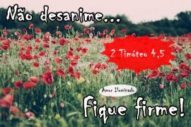 FACE Run 14 FIRME