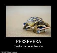 & Run 5 Persevera