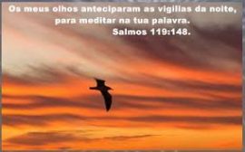 # sl 119 . 145