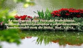 sl 137 no cativeiro