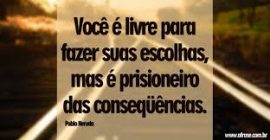 fev-07-suas-pp-escolhas