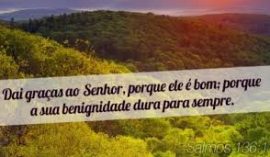 sl-136-benignidade-sp