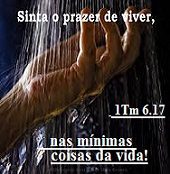 NEW 03.05 prazer de viver 4