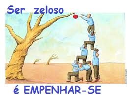 dVC 06.30 ZELO JTOS