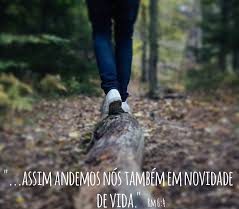 xx 02.16 VIDAem novidd