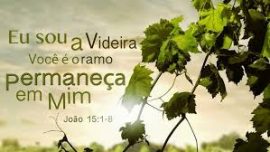 xx09.10 a VIDE frutos