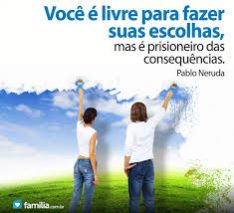 17 Fc 1.31 escolhas ok