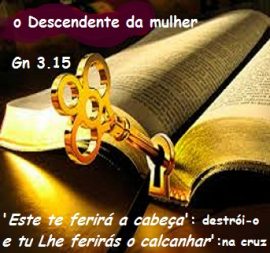 xx03.16 txt chave