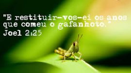 xx10.25 restitui