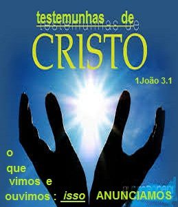 xx11.01 testemunhas