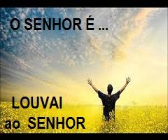 xx11.14 LOUVAI
