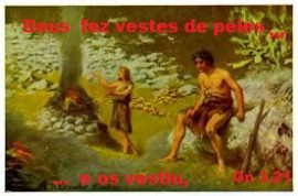 xx11.22 vestes de peles