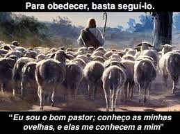xx12.10 bom pastor