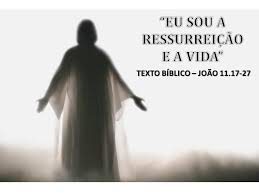 xx12.11resurr + VIDA