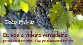 xx12.13 videira