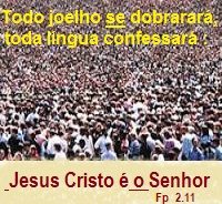xx12.15 todo joelho