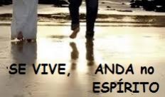 xx04.26 viveANDA