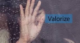 xx07.06 valorize