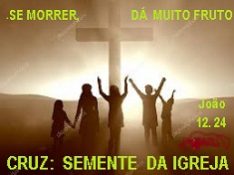 N.Oc 03.16 SEMENTE