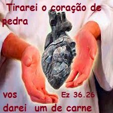 New 06.23 heart PEDRA