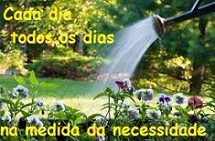 N.Oc 06.17 regar cada dia