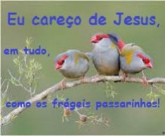 New oc Win 07,30 CAREÇO