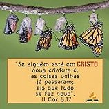NEW 01.17 nova criatura 16