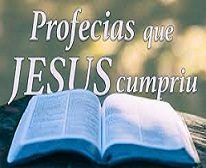 NEW 02.09 cumpriu prof.s 8