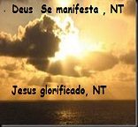 NEW 02.11 manifestações 10