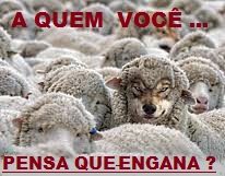 NEW 03.02 a qm engana 2