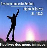 NEW 03.25 VENÇO 24