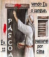 NEW 04,09 SANGUE 8