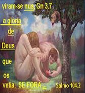 new 03.16 se viu NU 15